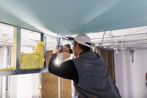 Types of Insulation We Offer in Brisbane, CA