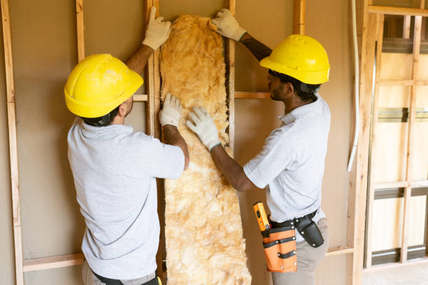 Best Eco-Friendly or Green Insulation Solutions  in Brisbane, CA