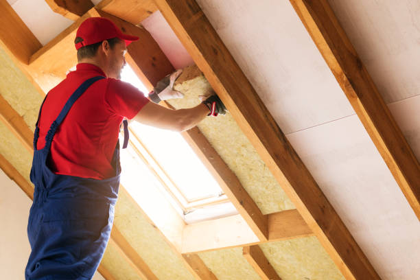 Best Batt and Roll Insulation  in Brisbane, CA